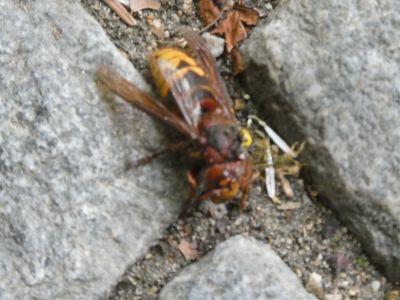 Dienstag, 28.04.2026